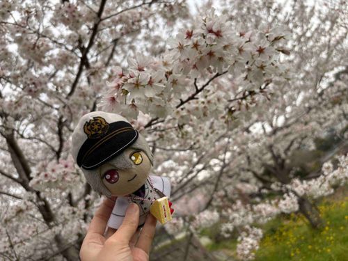 🌸