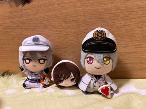 家に仲間が増えたんだって