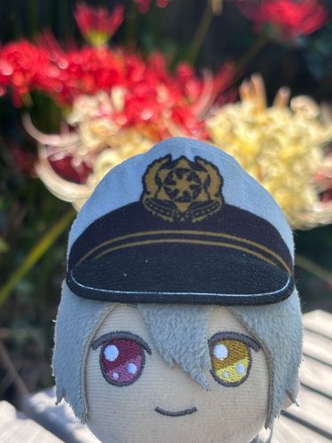 目玉の色