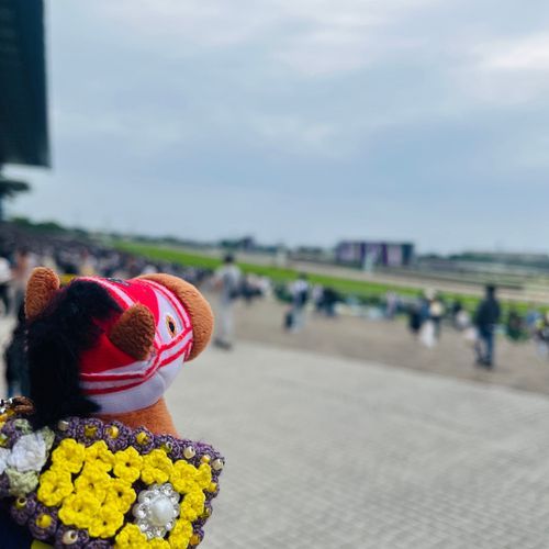 昨日は東京競馬場行ってきたでﾔﾝｸﾞ🏇天皇賞・春はお気に入りレースの１つでﾔﾝｸﾞ🤤🩵
ビザンチンドリームくんへ
早く元気になって来年は天皇賞・春獲ってね🎖️