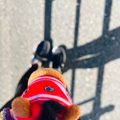 GW食べすぎてる飼い主と朝さんぽでﾔﾝｸﾞ☀️昼はピラティスも行くでﾔﾝｸﾞ！がんばれ！やせろ！