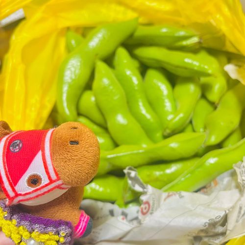 実家からそら豆がたっくさん送られてきたでﾔﾝｸﾞ〜！そら豆だいすき！！