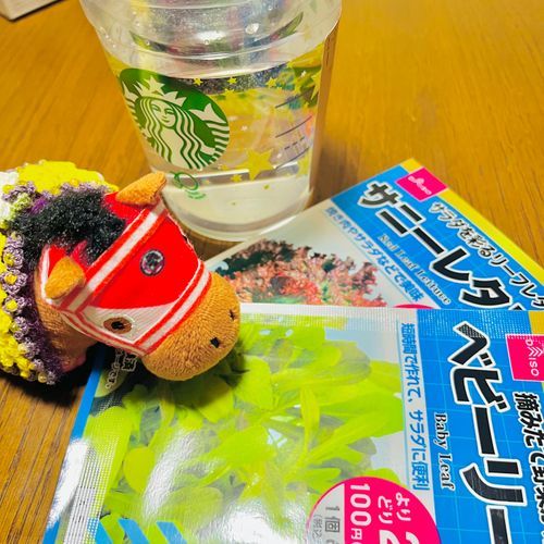 スタバカップで水耕栽培するやつ真似してみるでﾔﾝｸﾞ🌱