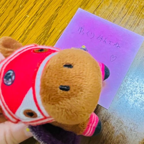 毎日お見送りしてるのに休みの日は寝かせて置いてくれる優しい飼い主夫でﾔﾝｸﾞ🤤