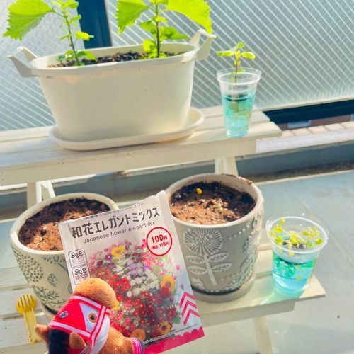 元気に育てでﾔﾝｸﾞ🌱