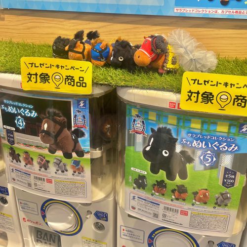 お目当てのガチャあったでﾔﾝｸﾞ！！！！せんぱいたち！！！！