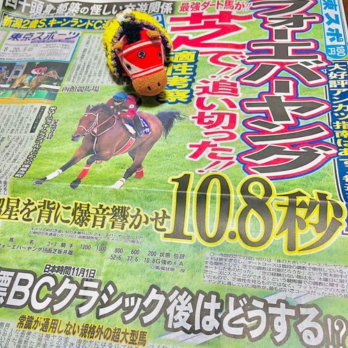 これ！！ぼく！！どやぁでﾔﾝｸﾞ🤤