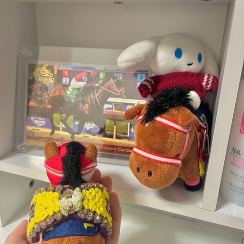 飼い主がドレッサーに僕コーナー作ってくれたでﾔﾝｸﾞ！！！🎖️