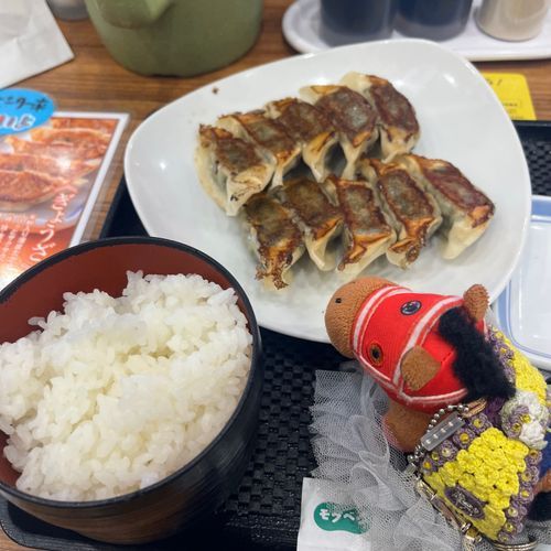 餃子ばっかり食べる飼い主😮‍💨