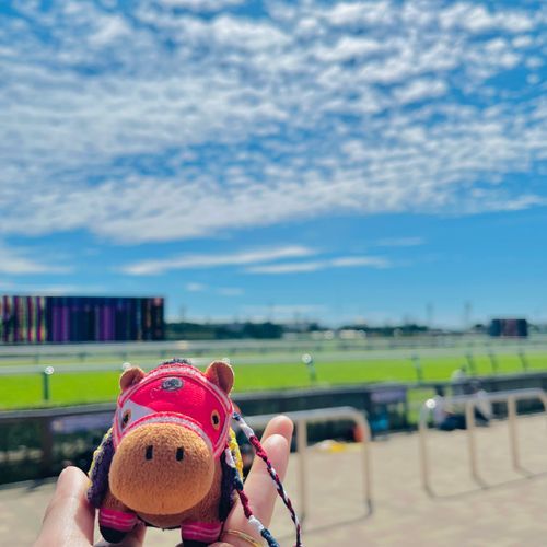 はじめての中山競馬場！