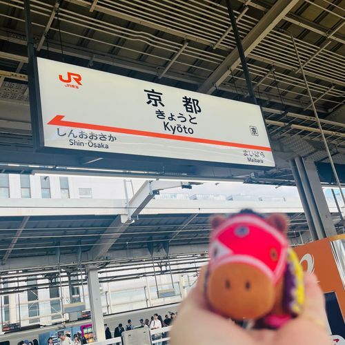 エバは京都にきてるでﾔﾝｸﾞ！目的はなんでしょう〜？でﾔﾝｸﾞ！！！🚄