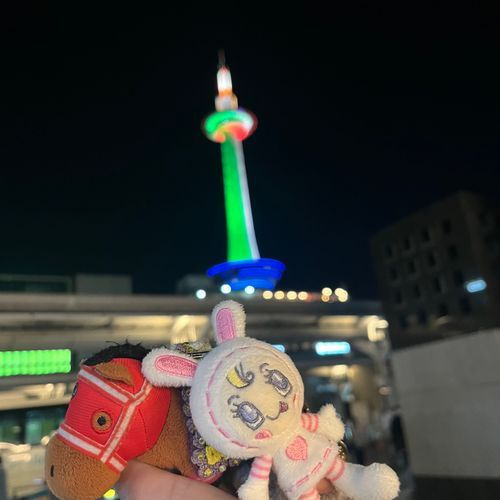 はじめてみる京都タワー🗼でﾔﾝｸﾞ🐎