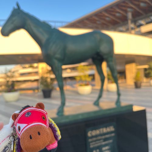 コントレイル大先輩🐎