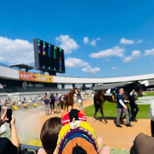 京都競馬場のための京都旅行でﾔﾝｸﾞ🏇🩵