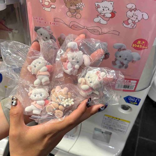 キャミーちゃんとキャミーちゃんのお友達をゲット✨️