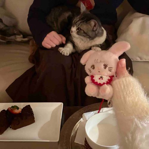 猫さんとキャミーちゃん🐰🐱♡