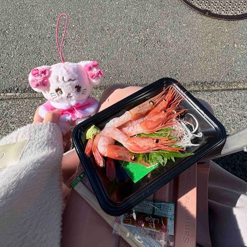 キャミーちゃんと生エビさん実食🦐✨
ぷりぷりで美味しく頂きました🙏♡
