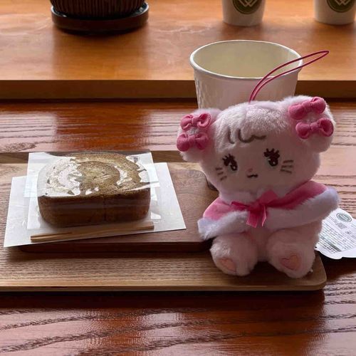 キャミーちゃんと城崎温泉街に行った♨️♡ キャミーちゃんも寒いからポンチョ着てるよ〜⛄️
