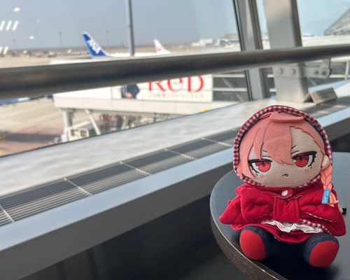 ✈️