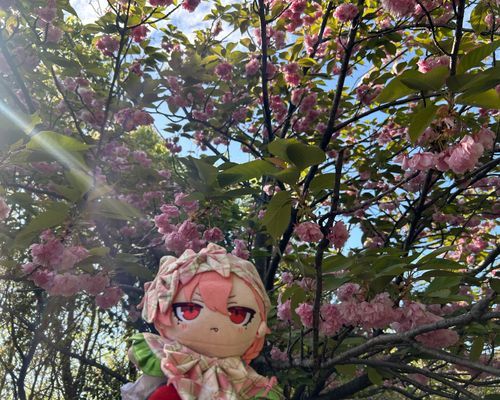 おはなさん🌸
