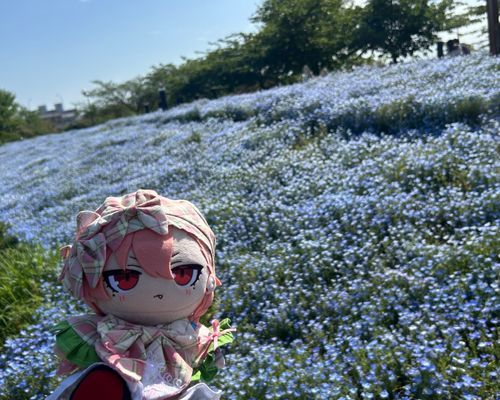 ねもふぃら💐
