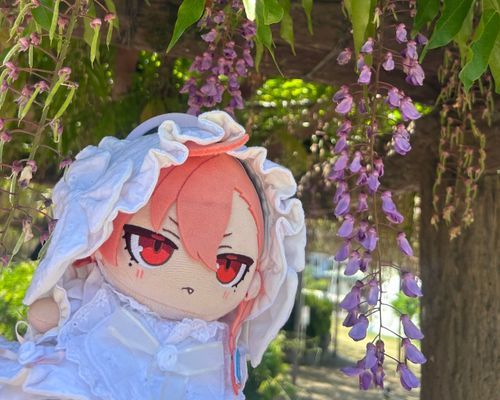 ふじ🪻