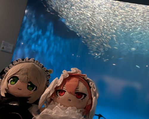 おさかなさん🐟