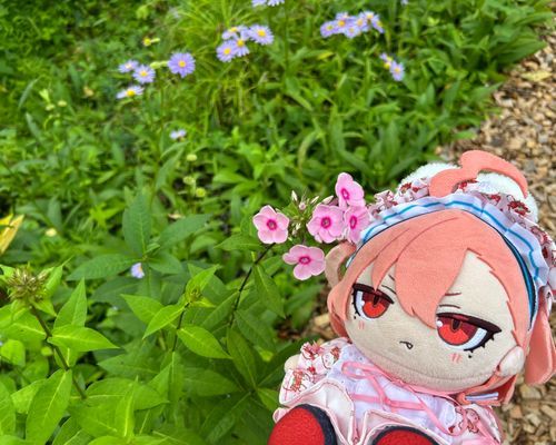🌸