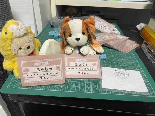 ぬいかーど？をつくった
なまえとしゅっしんかしょぞく、うらに かお がかいてあるやつだ
なかよしさんのいえにいるやつらぜんぶつくるからたいへんだってなかよしさんいってた