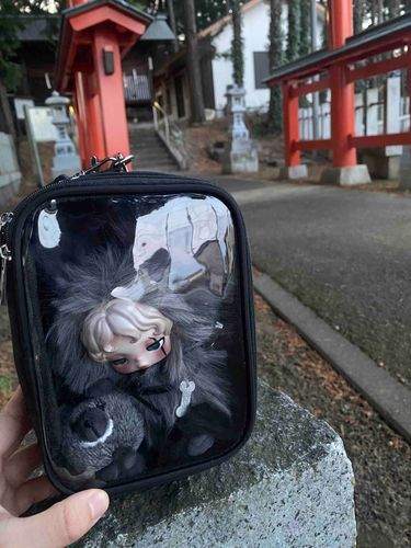 どーぎちゃんがはつもうでにきたよ
