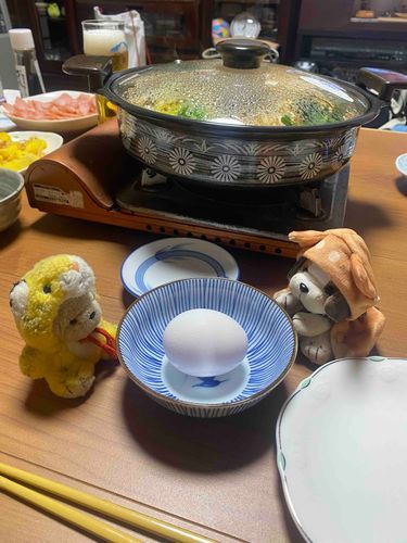 きょうはなかよしさんなべをたべるらしい
たまごがだいじなんだと