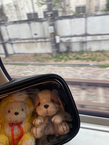 なかよしさん、おしごとさがし？とかでいそがしそうだった
やっとおわったと思ったらこんどはがっこのだいじだいじ…
みくすもいっしょにきょうとにおしごとさがしいったぞ！