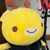 おたね