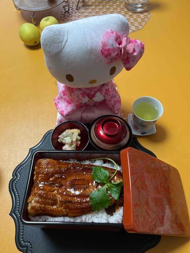 うな丼なんだって〜。
着物を汚さないように食べられるかなϵ( 'Θ' )϶