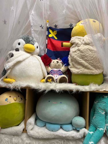 お兄ちゃんの本棚改造してシェアハウスにしたの。ギュウギュウだよぉ。お風呂がないの🛁