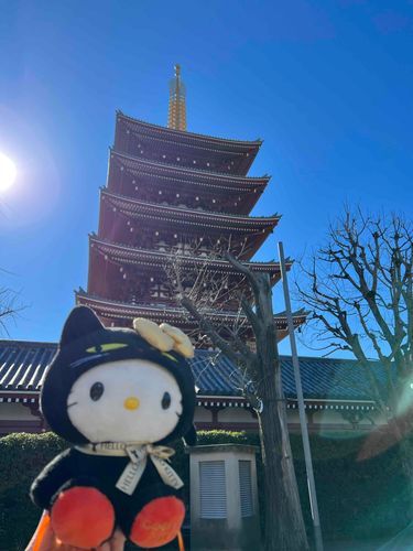浅草寺でお参りしました⛩