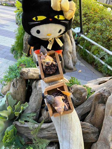 後楽園でかわいい子をみつけたの。あ〜そ〜ぼ🐹🎵