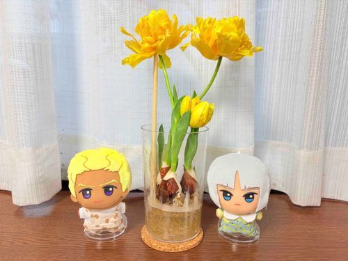 ちゅーりっぷ　と　おれ　たち　🌷