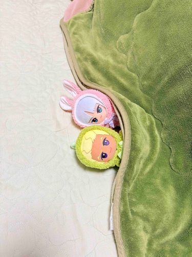 こたつ　はいる　か　？