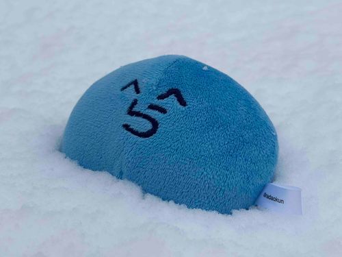 雪かきの　苦しみ