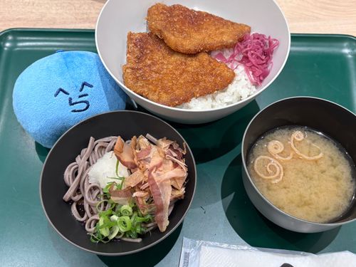 ソースカツ丼とおろし蕎麦