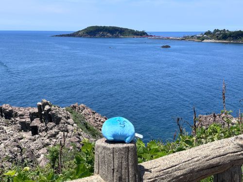 海だー
