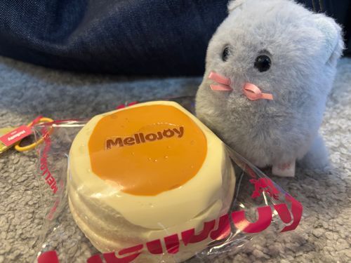 メロジョイ様のスクイーズを食べ物だと勘違いしてるほこり