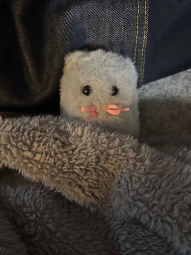 おはようございます！寝起きのほこりです🔥