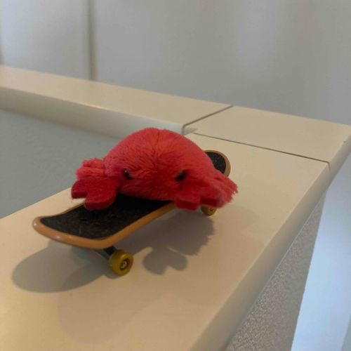 スケボーするガニ
おこってないガニ