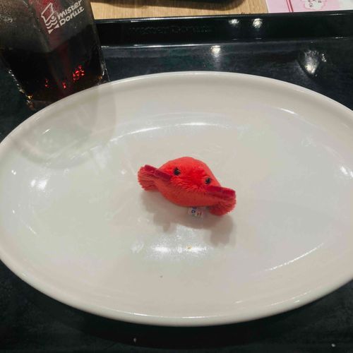 えっ　食べないでほしいガニ
それはおこるガニ