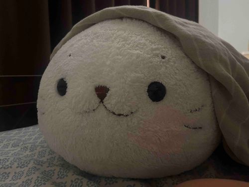 ちびズの夏休みが始まったので
二度寝、三度寝もお許しくださるむぎたん。