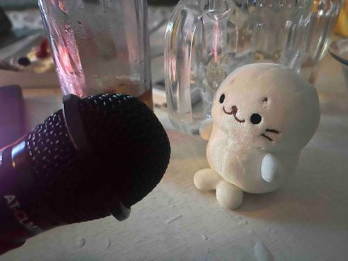 夏の星座にぶらさがってえ〜🎶