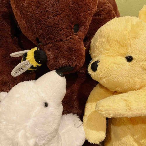 くまかいぎ🐝