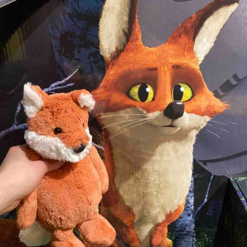 🦊🦊📷✩*°